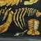 Vintage Deco Crayfish Maritime Poster Wandtafel von Jung Koch Quentell 4