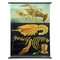 Vintage Deco Crayfish Maritime Poster Pull-Down Wall Chart by Jung Koch Quentell 1