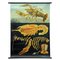 Vintage Deco Crayfish Maritime Poster Wandtafel von Jung Koch Quentell 1