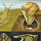 Vintage Apfelschnecke Escargot Poster Druck Lehrtafel von Jung Koch Quentell 2