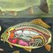 Affiche Murale Vintage Biologie Animaux Carpe Décor Maritime par Jung Koch Quentell 2