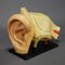 Antique Teaching Aid Model of an Ear from Somso, 1900s, Image 2