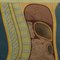 Vintage Female Genital Tract Pull Down Wall Chart 4