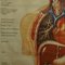 Vintage Human Inner Organs Medical Poster Pull Down Wall Chart, Image 3