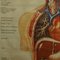 Vintage Menschliche Innere Organe Medizin Poster Pull Down Wandkarte 3
