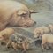Vintage Retro Pig Piglets Farm Animals Wall Chart Painting 5