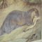 Old Vintage Country Style Weasel Otter Poster Print Wall Chart 3