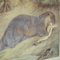 Old Vintage Weasel Otter Poster Druck Wandkarte 3