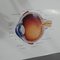Menschliches Auge Wissenschaft medizinische Poster Druck Wandkarte 6