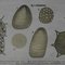 Old Components of a Cell Science Poster Teaching Chart 5