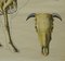 Póster anatómico enrollable vintage del esqueleto de una vaca, Imagen 5