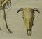 Vintage Rollable Anatomical Wall Chart Skeleton of a Cow Poster 5