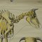 Vintage Rollable Anatomical Wall Chart Skeleton of a Cow Poster, Image 3