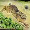 Brown Hare Common Rabbit Lehrtafel von Jung Koch Quentell 2