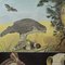 Goshawk Buzzard Long-Eared Owl Rollable Wall Chart Poster by Jung Koch Quentell 2