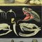 Vintage Reptilien Ringelnatter Bildplakat von Jung Koch Quentell 3