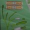 Quentell Freshwater Algae Plants Maritime Decoration by Pull-Down Wall Chart 3