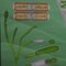 Quentell Süßwasser Algen Pflanzen maritimen Dekoration von Pull-Down Wandkarte 3