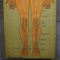 Antique German Human Nervous System Anatomical Wall Chart, 1900s 4