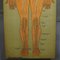 Antique German Human Nervous System Anatomical Wall Chart, 1900s, Image 4