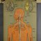 Affiche Murale Anatomique du Système Nerveux Humain Antique, Allemagne, 1900s 2