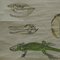 Vintage Skeleton of Reptiles Snake Lizard Turtle Crocodile Pull-Down Wall Chart 3