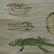 Vintage Skelett von Reptilien Schlange Eidechse Schildkröte Krokodil Pull-Down Lehrtafel 3