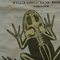 Vintage Swedish Skeletons Anatomy of Amphibians Pull-Down Wall Chart, Image 2