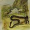 Póster vintage de serpiente de hierba, Imagen 3