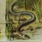 Póster vintage de serpiente de hierba, Imagen 4
