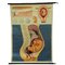 Vintage Prenatal Development Medical Pull Down Wall Chart 1