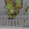 Vintage Africa Print Economy School Map Rollable Wall Chart 6