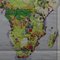 Vintage Africa Print Economy School Map Rollable Wall Chart 4