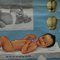 Vintage Infant Body and Tooth Growth Medical Poster Pull Down Wall Chart, Image 3