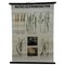 Vintage Crop Diseases Botanical Poster Pull Down Wall Chart 1