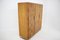 Bauhaus Wardrobe by Hynek Gottwald, Czechoslovakia, 1930s, Image 7