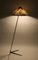 Lámpara de pie Mid-Century de Rupert Nikoll, Austria, Imagen 9