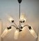 Vintage Italian Chandelier with Nine Arms and Chrome Details from Stilnovo, 1960s 14