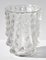Vase Vichy Art Déco Transparent et Givré avec Graduation de Feuilles Ondulées de R. Lalique 5