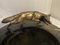 Small Art Deco Bronze Fox with Marble Bowl 5