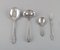 Lily of the Valley Lunch Service in Sterling Silver for 12 People from Georg Jensen, Set of 52 3
