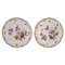 Antique Porcelain Plates with Hand-Painted Flowers from Meissen, Set of 2 1