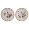 Antique Porcelain Plates with Hand-Painted Flowers from Meissen, Set of 2, Image 1