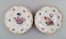 Antique Porcelain Plates with Hand-Painted Flowers from Meissen, Set of 5, Image 3