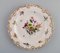 Antike Porzellanteller mit handbemalten Blumen von Meissen, 5er Set 4