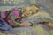 Emmalisa Senin, Sleeping Girl, 1988, Huile sur Toile, Encadrée 3