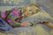 Emmalisa Senin, Sleeping Girl, 1988, Oil on Canvas, Framed, Image 3