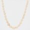 20th Century Diamond Falling Cultured Pearl Necklace in 18 Karat Yellow Gold 10