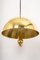 Large Adjustable Brass Counterweight Pendant Light by Florian Schulz, Germany 5