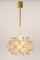 Large Frosted Glass and Brass Chandelier from Kinkeldey, Germany, 1970s 10